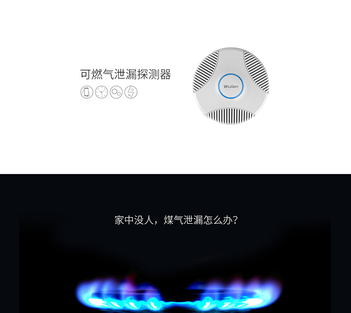 WL-可燃氣泄漏探測器_01