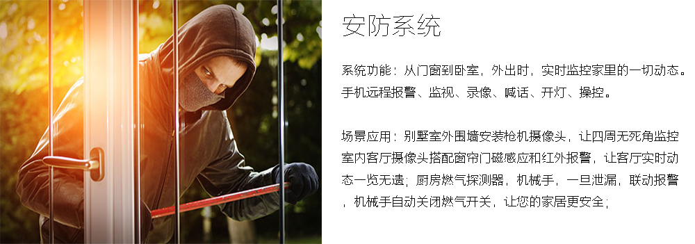 別墅安防系統